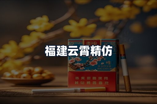 福建云霄精仿